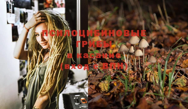 дмт Слюдянка