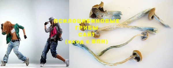 дмт Слюдянка