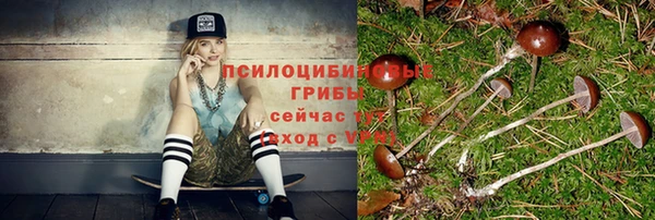 2c-b Снежногорск