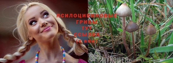 хмурый Сосновка