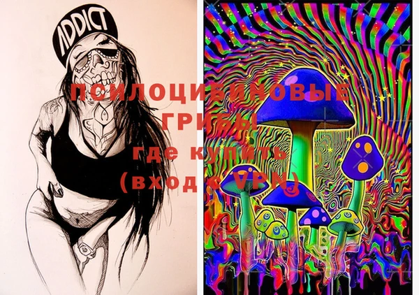 дмт Слюдянка