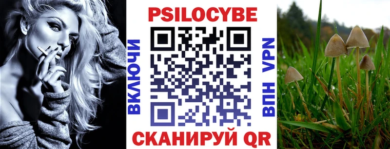 Псилоцибиновые грибы Psilocybine cubensis  Купить  Смоленск 